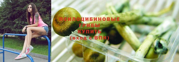 дживик Карпинск
