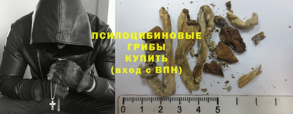 винт Касимов