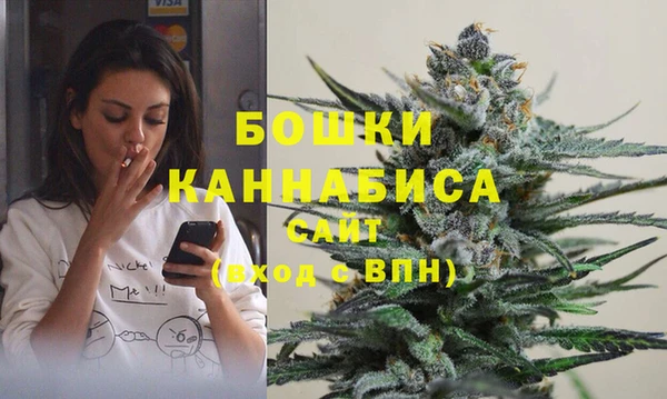 дживик Карпинск