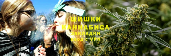 винт Касимов
