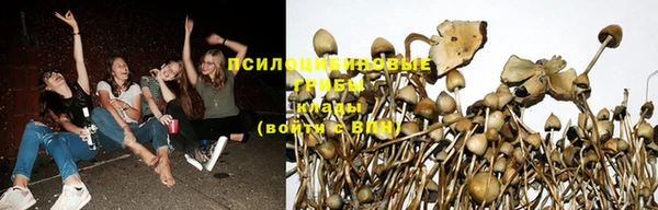 марихуана Киренск