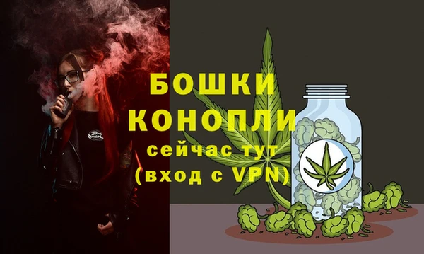 стаф Каменск-Шахтинский